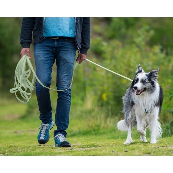 Eine Person, die einen glücklichen, flauschigen Border Collie an einer leuchtend orangefarbenen Leine in einer grünen Umgebung führt.