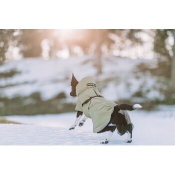 Ein schwarz-weißer Hund, der einen hellgrünen Mantel mit dem Logo "PAIKKA" trägt, springt im Schnee, mit einem sanften, sonnigen Hintergrund.