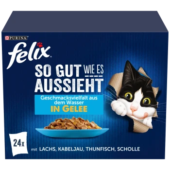 Felix Katzenfutterbox mit einer verspielten schwarz-weißen Katze, die Geschmäcker wie Lachs, Kabeljau, Thunfisch und Scholle zeigt. Text auf Deutsch enthalten.