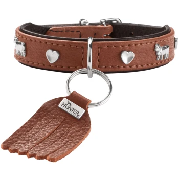 Braunes Lederhalsband mit silbernem Herz- und Hundnietenbesatz, Metallring und Lederquastenanhänger mit Aufschrift 'HUNTER'.