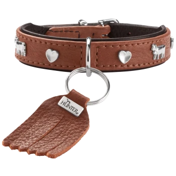 Braunes Lederhalsband mit silbernem Herz- und Hundnietenbesatz, Metallring und Lederquastenanhänger mit Aufschrift 'HUNTER'.