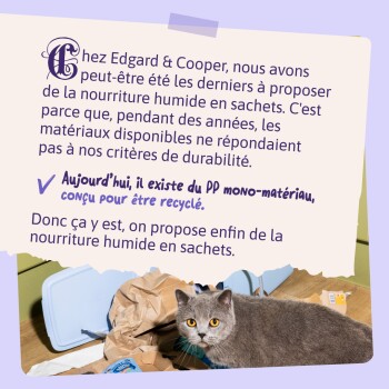 Chat gris parmi des emballages ; texte français : « Aujourd'hui, il existe du PP mono‑matériau, conçu pour être recyclé. »