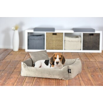 Ein gemütliches beiges Hundebett mit einem kleinen Hund, der darin ruht, vor einem Holzboden und einem weißen Regal mit geflochtenen Körben im Hintergrund.