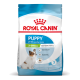 Royal Canin Welpenfutterbeutel, X-Small 2–10 Monate, Erwachsenengewicht bis 4 kg, Bild eines kleinen weiß-braunen Welpen