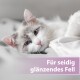 Eine Nahaufnahme einer flauschigen, hellgrau-weißen Katze, die auf einer weichen Oberfläche liegt, mit dem Text "Für seidig glänzendes Fell" in einer lila Box darunter.