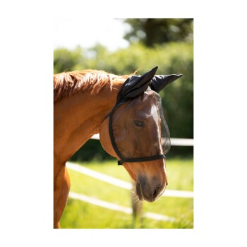 Nahaufnahme eines braunen Pferdes, das eine schwarze Fliegenmaske mit spitzen Ohren trägt, vor einem verschwommenen grünen Hintergrund.