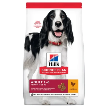 Science Plan Medium Adult 1-6 kip 14 kg Hill's Science Plan hondenvoer zak met een zwart-witte hond, gelabeld 'Volwassen 1-6, Medium 11-25 kg,' met kip voor immuniteit en spijsvertering.