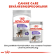 Bild der Verpackung von Royal Canin Hundefutter mit "Sterilised" Trockenfutter für Mini-Hunde und Nassfutter für alle Größen, mit Text, der eine ausgewogene Ernährung fördert.