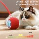 Eine flauschige Katze beobachtet neugierig einen roten interaktiven Spielzeugball mit transparentem Abschnitt, ausgestattet mit einer Silikonhülle zur Geräuschreduzierung.