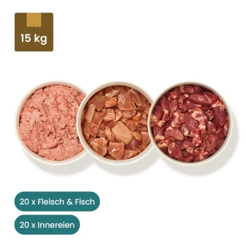 Drei Arten verpacktes rohes Tierfutter mit Schalen, die Hackfleisch zeigen, beschriftet mit Fleisch, Innereien und Fisch.