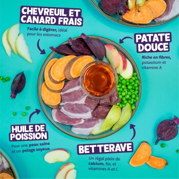 Bol vu de dessus contenant chevreuil et canard frais avec patate douce, pois, poire et betterave ; étiquette « CHEVREUIL ET CANARD FRAIS ».