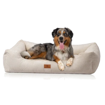 Ein glücklicher Australian Shepherd Hund liegt auf einem plüschigen, beigen Hundebett mit Cord-Textur, das ein kleines Logo-Tag hat.