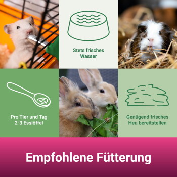 Kleintier-Collage (Hamster, Meerschweinchen, Kaninchen). Deutscher Text: 'Empfohlene Fütterung'; 'Stets frisches Wasser'; '2–3 Esslöffel.'