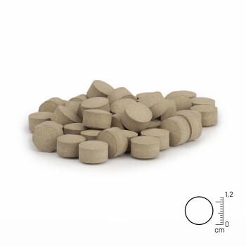 Ein Haufen runder, beiger Haustier-Nahrungsergänzungsmittel oder Tabletten, mit einem Lineal zur Größenangabe, auf einem weißen Hintergrund.
