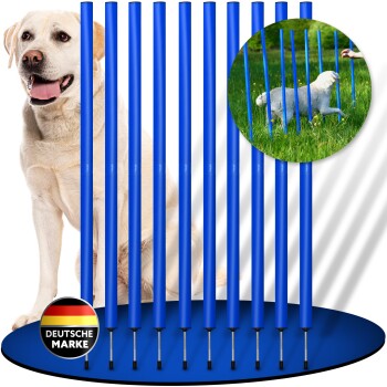 Blaue Slalomstangen für Haustiere, 105 cm hoch, 1,4 mm dick, mit Metallspitzen; mit dem Text "SLALOM STANGEN".