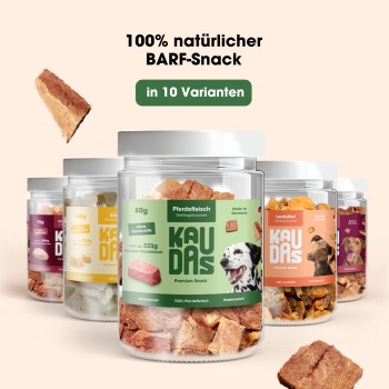 Silberner Haustierfutternapf mit verstreutem Futter, spritzendem Wasser und schwimmenden Leckerlis; Text: "Großartig als Topping" und "Rehydrieren für Geschmack."
