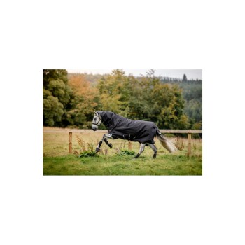 Ein graues Pferd, das eine schwarze Decke trägt, läuft auf einer grasbewachsenen Fläche mit Bäumen im Hintergrund und zeigt seine elegante Bewegung.