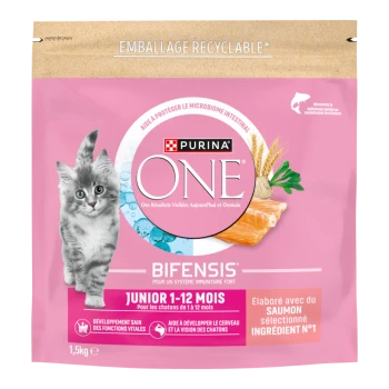 Sac de nourriture pour chaton Purina ONE BIFENSIS rose avec chaton gris, mentions « Junior 1-12 mois » et « Saumon », 1,5 kg.