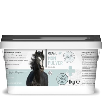 REAVET MSM Pulver 1kg