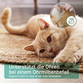 Eine entspannte orangefarbene Katze, die auf einer gewebten Matte liegt, mit Textüberlagerung auf Deutsch und Englisch über Unterstützung bei Ohrmilben.