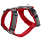 Rotes und graues verstellbares Hundegeschirr mit gepolsterten Riemen und einem Metall-D-Ring zur Leinenbefestigung.