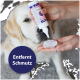 Person trägt Reiniger auf ein Wattepad an der Nase eines Golden Retrievers auf; kreisförmiger Text: „Entfernt Schmutz“