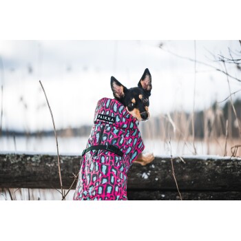 Ein schwarz-brauner Hund trägt einen lebhaft pink- und blau-musternden Mantel mit dem Etikett 'PAIKKA' und steht auf einem Holzzaun in einer Winterlandschaft.