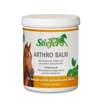 Stiefel Arthro Balm Behälter für Pferde, mit einem Pferdebild, mit Text in Deutsch und Englisch über Inhaltsstoffe und Anwendung für Gelenke und Sehnen.