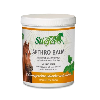 Stiefel Arthro Balm Behälter für Pferde, mit einem Pferdebild, mit Text in Deutsch und Englisch über Inhaltsstoffe und Anwendung für Gelenke und Sehnen.