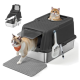 Graue Katzenstreu-Box mit Deckel, Schaufel, Matte und zwei Katzen, eine innen und eine beim Herausgehen, aus einem Online-Tiergeschäft.