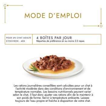 Assiette de pâtée pour chat en sauce sous l'en-tête français « MODE D'EMPLOI » et le texte encadré « 4 BOÎTES PAR JOUR »