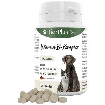 Vitamin B-Komplex Ergänzung für Haustiere in einem weißen Behälter, mit einem Hund- und Katzenmotiv, mit 120 Tabletten angezeigt.