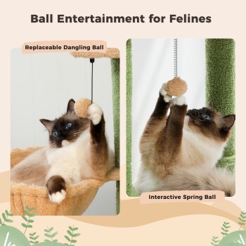 Verspielte Katze mit einem hängenden Ball und Federballspielzeugen, mit dem Text "Ballunterhaltung für Katzen."