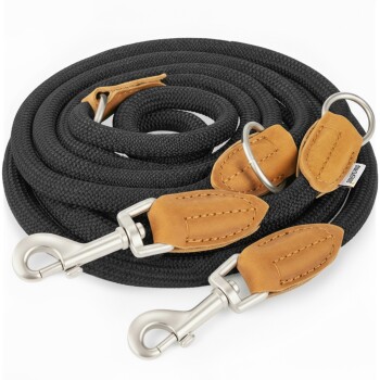 Eine schwarze geflochtene Hundeleine mit Lederakzenten und silbernen Metallclips, ordentlich auf einem weißen Hintergrund aufgerollt.