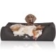 Zwei Hunde liegen auf einem dunkelgrauen Hundebett mit dem Logo "KNUFFELWUFF"; einer ist verspielt, der andere ruht sich aus.