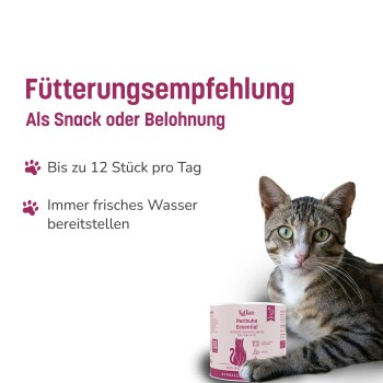 Getigerte Katze neben rosa Snackdose; deutsche Überschrift 'Fütterungsempfehlung', 'Als Snack oder Belohnung'; Text: max. 12/Tag, frisches Wasser bereitstellen
