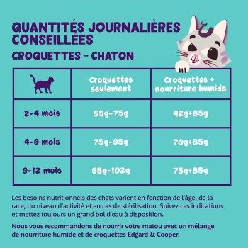 Graphique montrant les quantités alimentaires quotidiennes recommandées pour les chatons, avec des options de nourriture sèche et humide, des tranches d'âge et une illustration de chat en dessin animé.