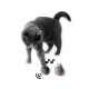 Eine graue Katze interagiert verspielt mit zwei bunten Filzkugeln, mit musikalischen Noten und Schallwellen, die in der Nähe illustriert sind.