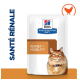 Pochette de régime prescrit Hill's avec un chat orange duveteux, étiquetée "SANTÉ RÉNALE" et "KIDNEY + MOBILITY" en texte gras.