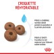 Croquettes pour chiens réhydratables avec trois croquettes en forme de beignet brun, mettant en avant la nutrition pour les chiennes enceintes et une transition facile pour les chiots.