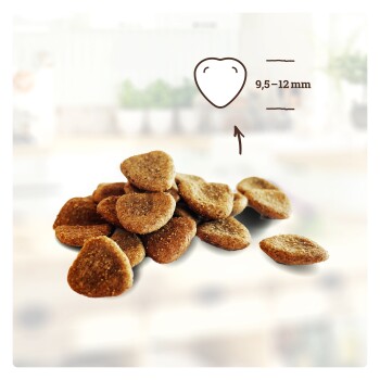 Haufen brauner, dreieckiger Trockenfutter-Kroketten für Haustiere, Größe angegeben als 9,5–12 mm mit einfachem Formdiagramm.