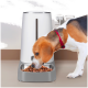 Ein Beagle-Hund mit rotem Halsband frisst aus einer grauen Futterschüssel, die mit Trockenfutter gefüllt ist, neben einem modernen weißen Futterspender.