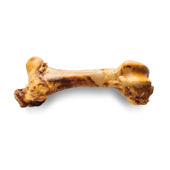Giant Beef Bone Ein großer, fleischiger Hundeknochen mit einer leicht angebrannten Oberfläche, präsentiert vor einem schlichten schwarzen Hintergrund.