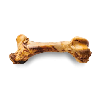 Ein großer, fleischiger Hundeknochen mit einer leicht angebrannten Oberfläche, präsentiert vor einem schlichten schwarzen Hintergrund.