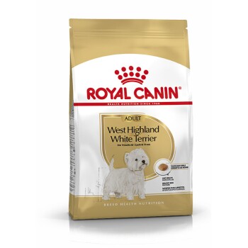 West Highland White Terrier Adult 3 kg