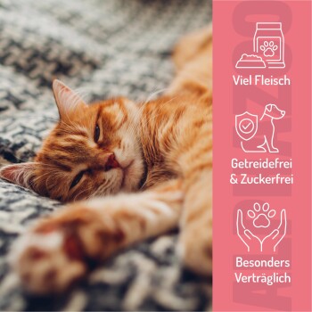 Rosa zylindrischer Behälter mit der Aufschrift "ALPHAZOO" mit "SOFT UND YUMM" und "FÜR KATZEN," umgeben von Haustierleckereien.