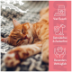Rosa zylindrischer Behälter mit der Aufschrift "ALPHAZOO" mit "SOFT UND YUMM" und "FÜR KATZEN," umgeben von Haustierleckereien.