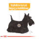 Illustration eines schwarzen schottischen Terriers mit Text, der empfindliche Haut und Neigung zu Irritationen hervorhebt.