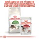 Outdoor 4 kg