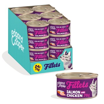 Box of 24 Edgard & Cooper Fillets cat food cans (salmon and chicken 70g) with can shown, purple label and cat graphic.